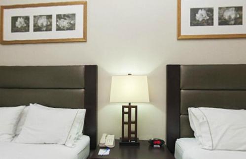 Holiday Inn Express Hotel & Suites Ottawa Airport By Ihg Værelse billede